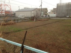 大阪の草刈り後